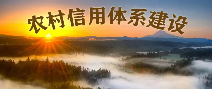 朱岩：建设农村三级信用体系、打造数字乡村振兴新模式