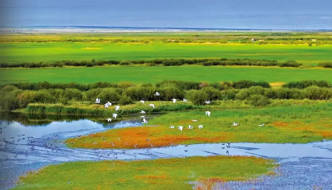 国务院公布《生态环境监测条例》，建立生态环境监测信用评价制度